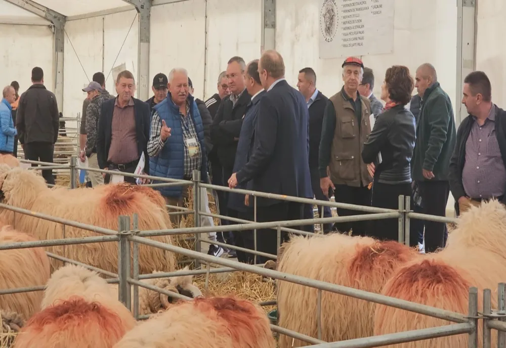 Nicolae Ciucă, vizită neașteptată la târgul Indagra. Discuții cu fermierii români - Măsuri pentru sectorul agricol
