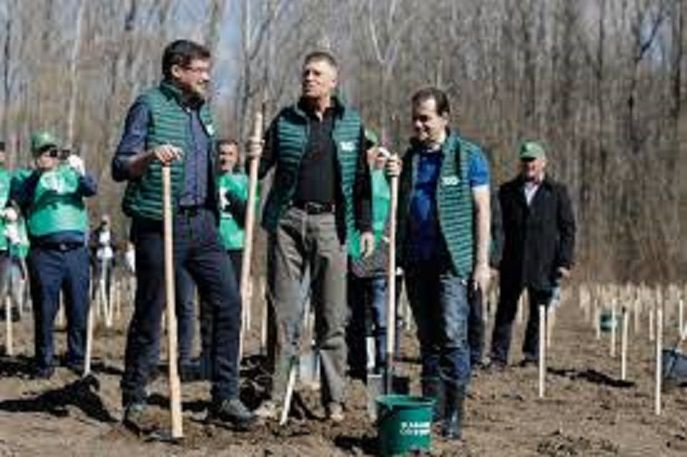 Klaus Iohannis: „Este nevoie să creştem semnificativ suprafaţa împădurită din România"