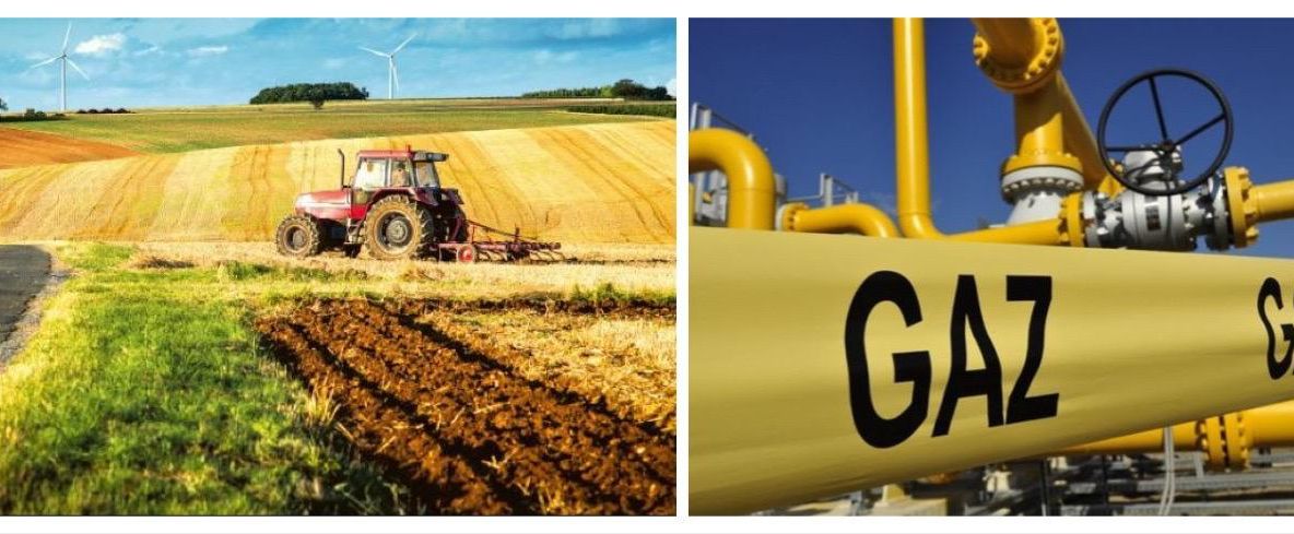 PSD, partidul bipolar