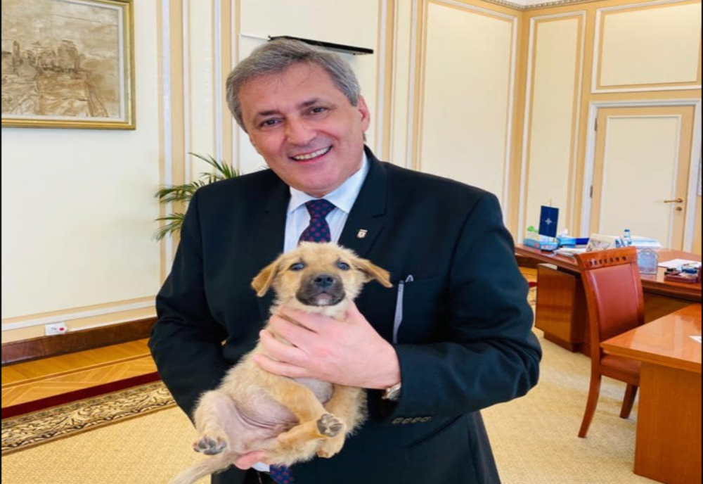 ”Vom zâmbi curând, sănătoși și fără măști!” - Mesajul ministrului Marcel Vela de Ziua Națională