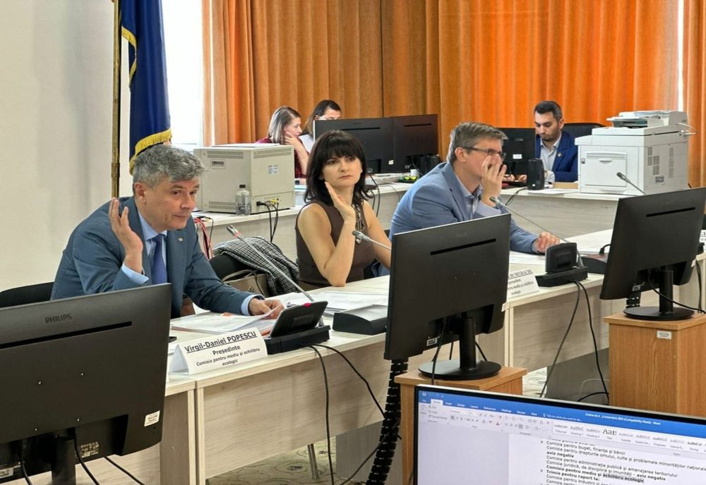 Deputatul Virgil Popescu: Susținem construirea de noi spații verzi!