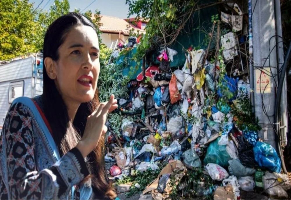 PNL Sector 1 o acuză pe Clotilde Armand de ipocrizie: Se laudă cu asfaltarea unor străzi pentru care nu a prins bani în bugetul local