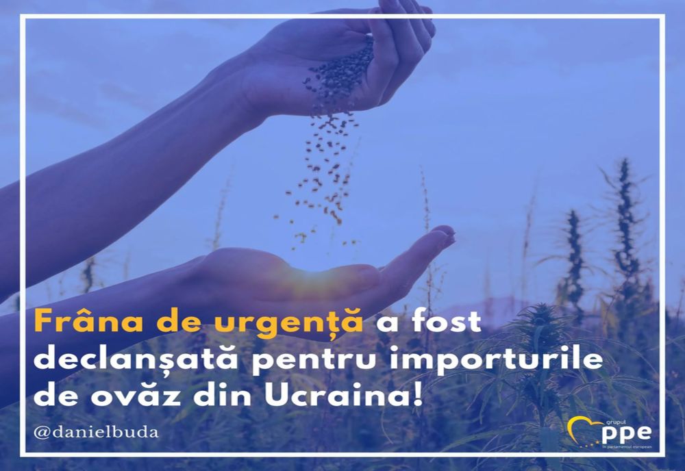 Europarlamentarul Daniel Buda: De mâine și până la 5 iunie 2025, ovăzul ucrainean importat în UE va fi supus contingentului tarifar din Zona de Liber Schimb Aprofundată și Cuprinzătoare