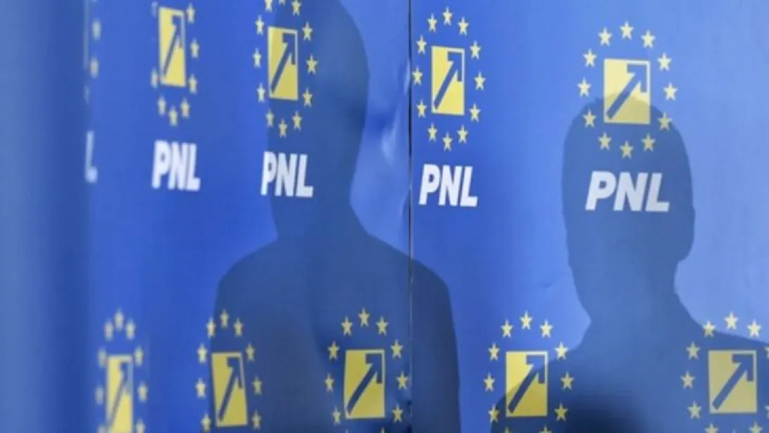 pnl-poza