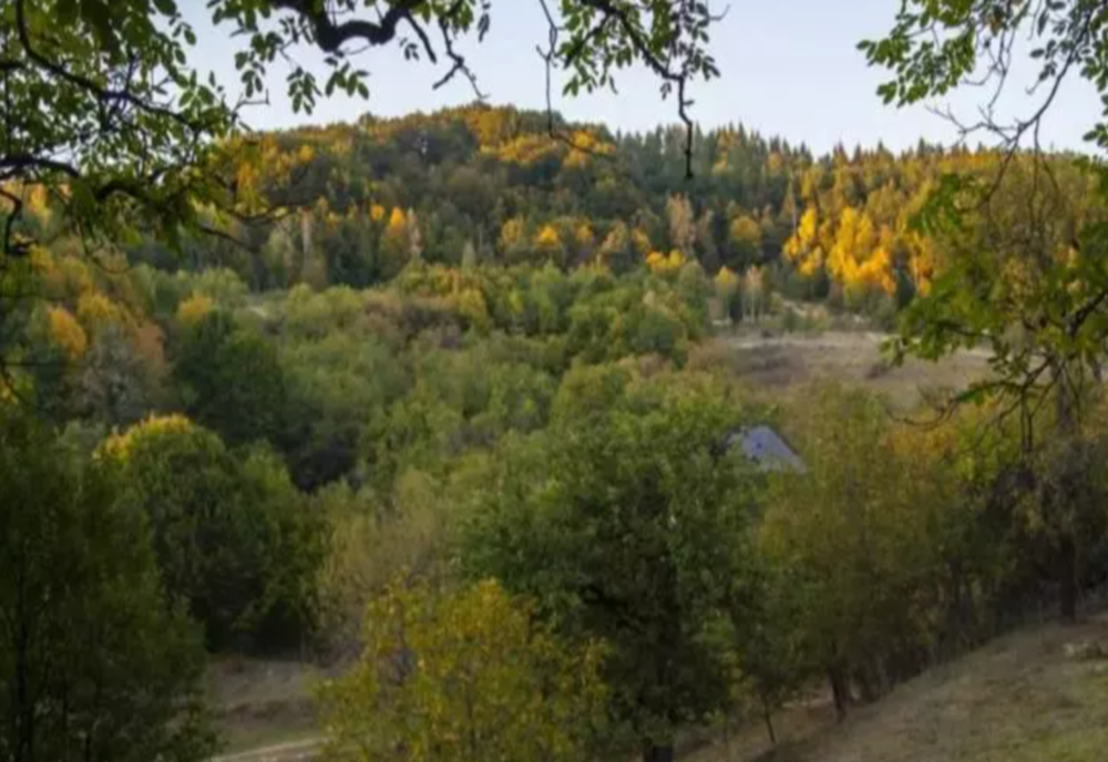 România, acaparată de caracatița Mossadului. Cine se află în spatele retrocedărilor cu cântec și cum au ajuns proprietățile românești pe mâna străinilor
