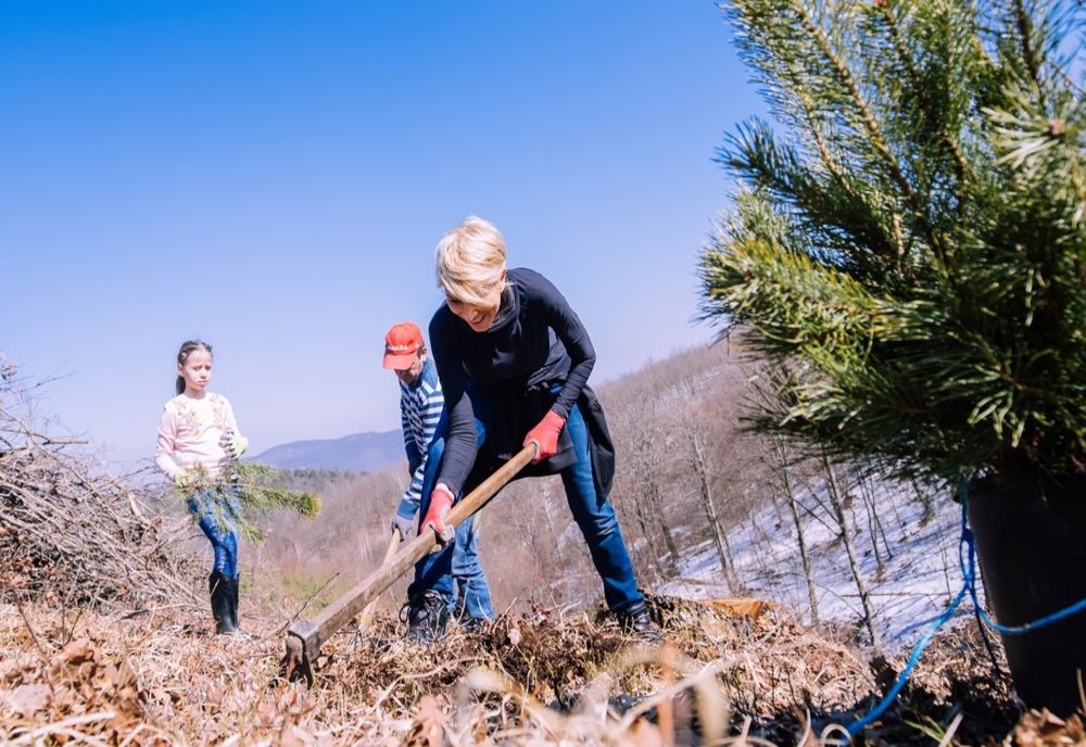 Ministrul Raluca Turcan a plantat copaci în week-end: ”O zi de primăvară în aer liber, între prieteni şi cu gândul la natură”