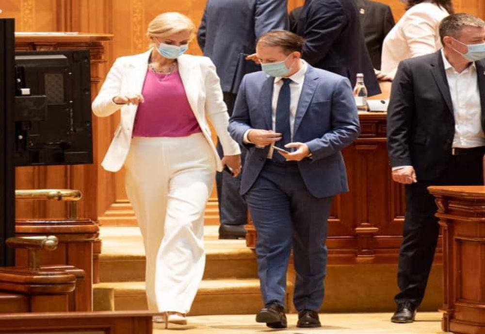 Alina Gorghiu: În timp ce USR ne jignește zilnic, PNL a rezolvat temporar problema energiei termice în Timișoara