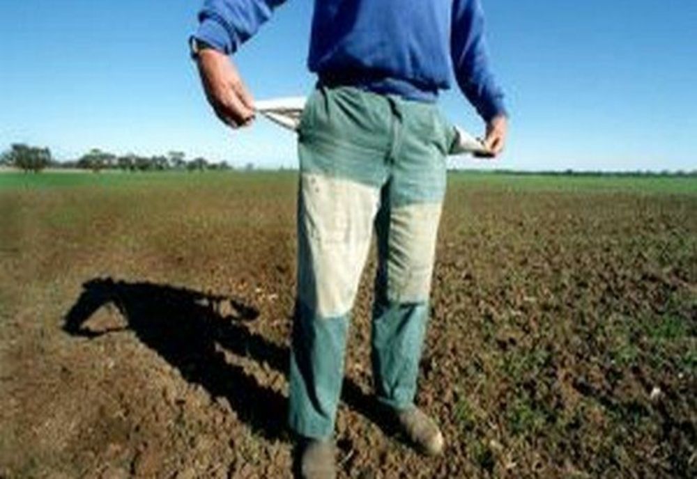 Europarlamentarii PNL Dan Motreanu și Daniel Buda sar in sprijinul fermierilor: ”Costurile de producție sunt mai mari decât prețul la care își vând recolta”