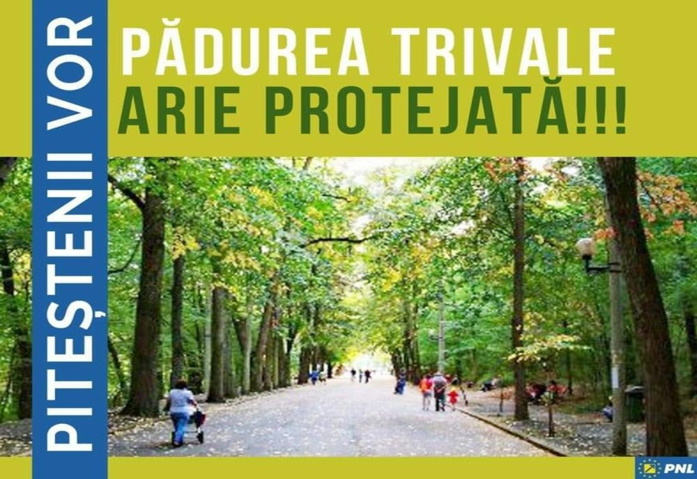 PNL susține transformarea pădurii Trivale în arie protejată
