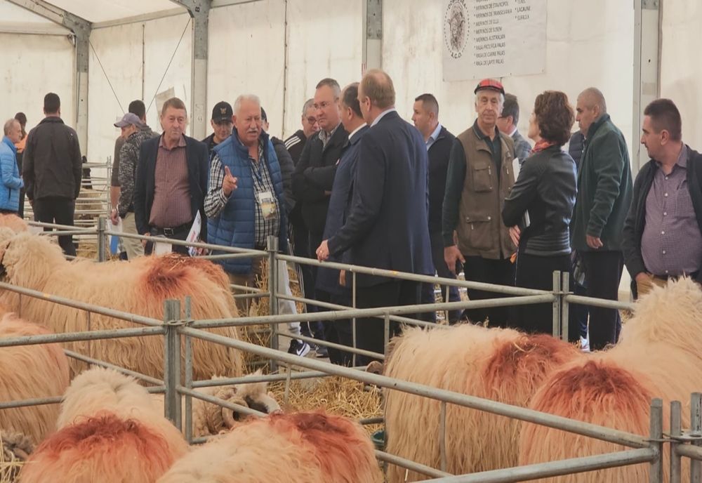 Nicolae Ciucă, vizită neașteptată la târgul Indagra. Discuții cu fermierii români - Măsuri pentru sectorul agricol