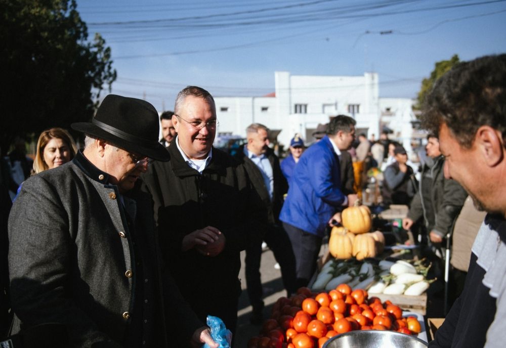 NICOLAE CIUCĂ, ATAC LA PSD: „AU LĂSAT FERMIERII FĂRĂ SPRIJINUL CONSTANT PE CARE ÎL MERITĂ!”