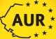 Ședință crucială la AUR. Cum va arăta noul Guvern?