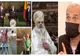 Jocuri de Putere cu Oreste Teodorescu: Dancu și Grindeanu au nădușit din greu in efortul monumental de a da copy/paste Bibliei lui Dragnea din 2016
