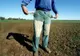 Europarlamentarii PNL Dan Motreanu și Daniel Buda sar in sprijinul fermierilor: ”Costurile de producție sunt mai mari decât prețul la care își vând recolta”