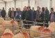 Nicolae Ciucă, vizită neașteptată la târgul Indagra. Discuții cu fermierii români - Măsuri pentru sectorul agricol